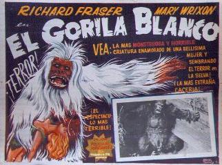 gorilla blanco