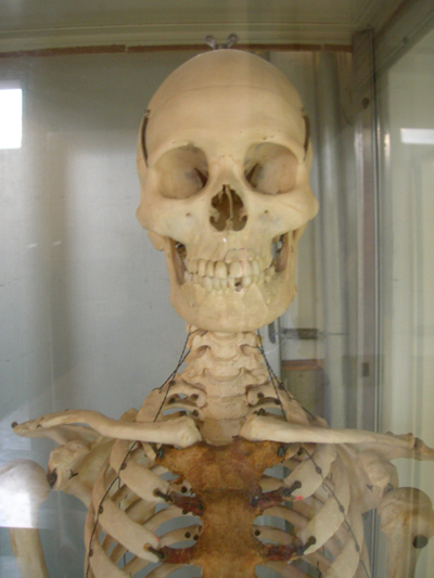 scheletro.JPG
